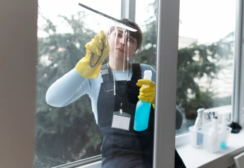 Nettoyage de vitres intérieures et extérieures à Boisseuil